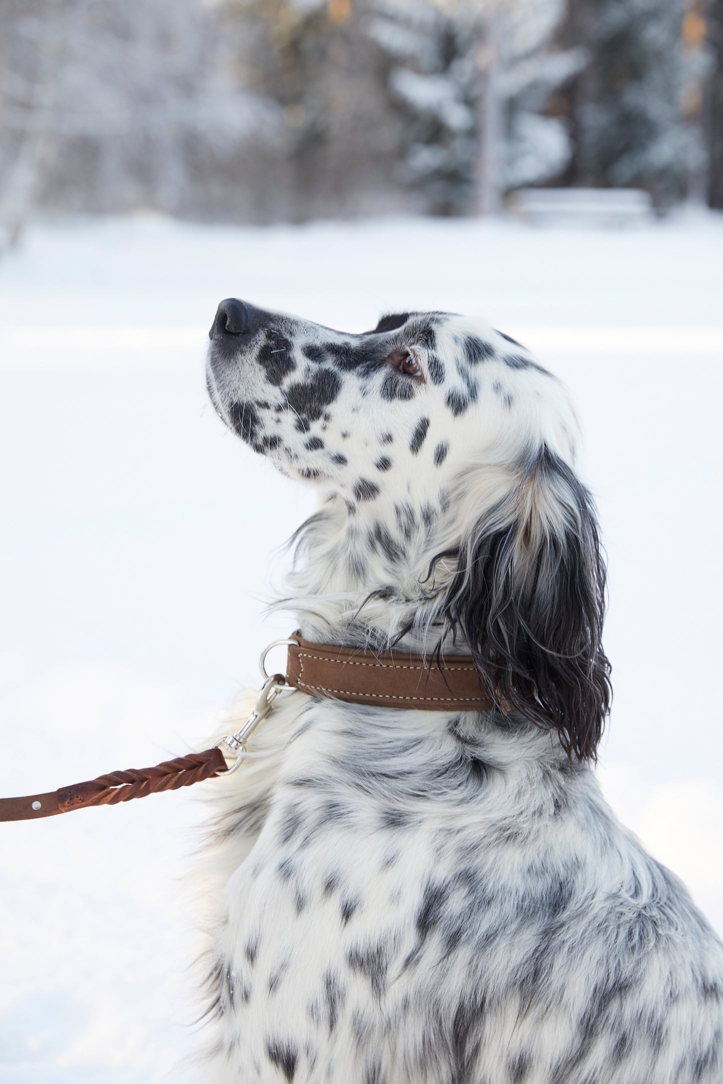 Hunter, halsbånd "Hunting"