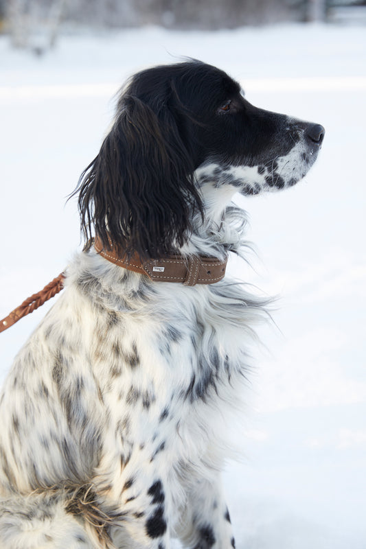 Hunter, halsbånd "Hunting"