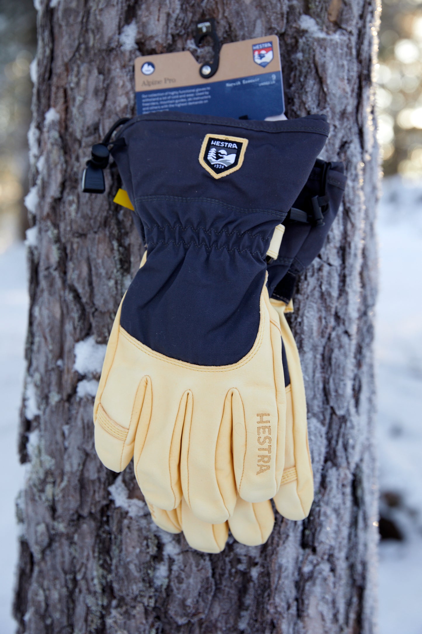 Hestra "Narvik Wool Terry Glove"/ "Ecocuir"
